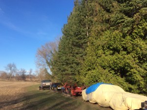 some of the fleet put out to pasture...